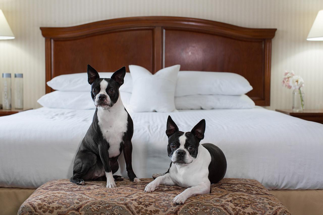 Rogue Regency Inn & Suites Medford Luaran gambar